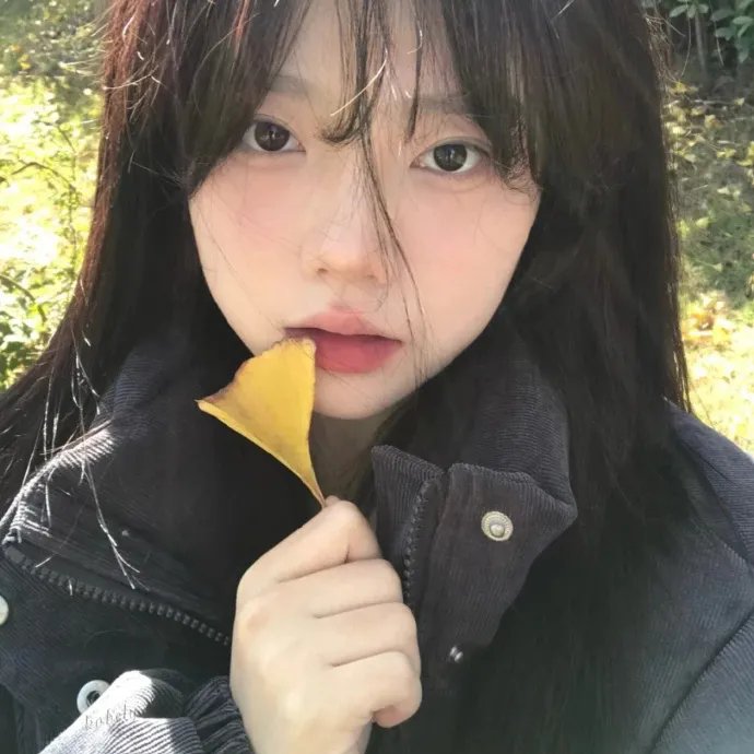 鬼蕉树